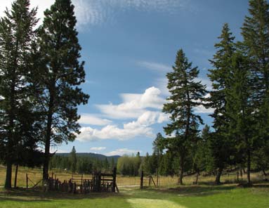 Country
