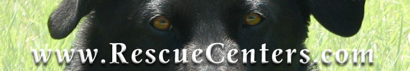 Rescue Centers for Unwanted Cats, Dogs, Horses, Pets and Other Animals